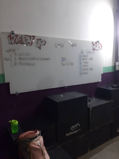 Studio Force Mobility