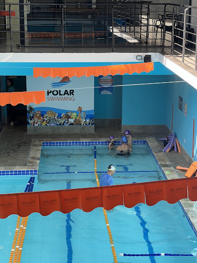 Academia Polar Swimming