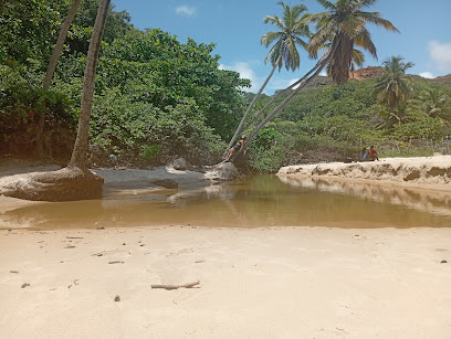 Conectados Viagens & Turismo