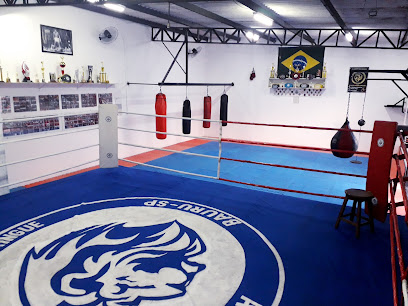Centro de Treinamento Desportivo 'Leões do Ringue'