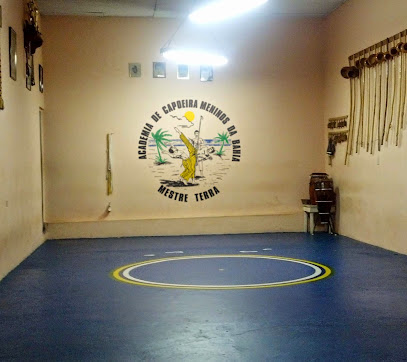 Capoeira Meninos da Bahia