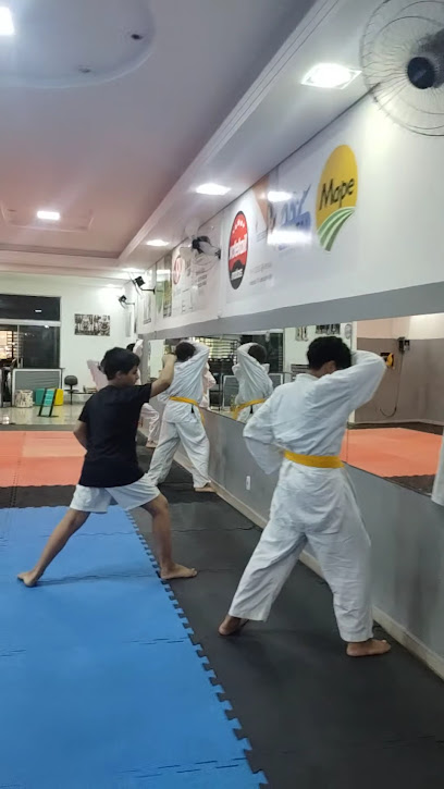 Instituto Teixeira de Karatê Shotokan