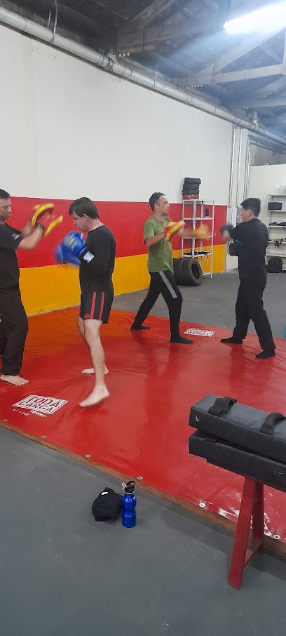 Escola Tigres e Dragões de Kung Fu