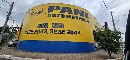 Pani Auto Elétrica